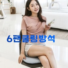 6팬겔쿨링방석