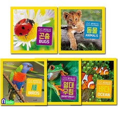 블루래빗내셔널지오그래픽