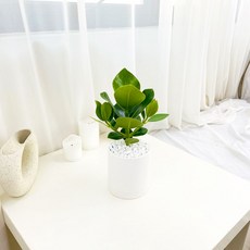 46a918225cebb186df2f33f3d215e1d2b70cc61844e969044fa78c67da83.jpg