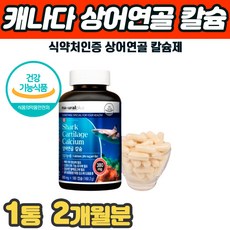 치아재생