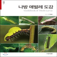 나방애벌레도감