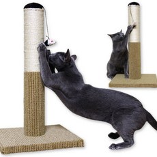 펫모닝 츄러스 고양이 스크래쳐 PMC-CT265, PMC-CT265 펫모닝 츄러스 스크래쳐, 1개