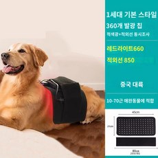 반려동물 강아지 기 고양이 노견 탈구 적외선 고관절 램플 벨트, 잉글리시 베이직 120라이트 레드+적외선 동시조사, 1개