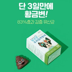 [펫턴] 강아지 반려동물 고양이 우리집막둥이 장건강 유산균 영양제 락토코커스 락티스 (60g 2g*30포) 당일출고배송, 1개
