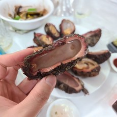 자연산 통영 돌멍게 철 제철 수산물 1kg, 1개, 단품