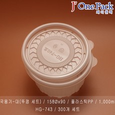 제이원팩 국용기 대(반투명) HG-743 뚜껑포함 300개세트 일회용용기, 1box, 300개