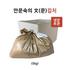 안문숙의 문김치 5kg