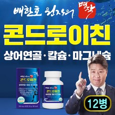 관절건강 상어연골 콘드로이친 관절엔 무릎관절 영양제, 12개, 60정