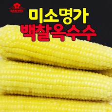 미소명가푸드 무첨가 쫀득쫀득 찰진 더 큰 백찰옥수수 20개, 특대20개