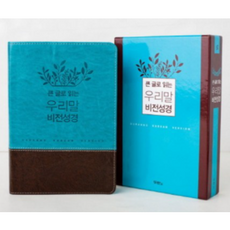 큰글로읽는우리말비전성경두란노