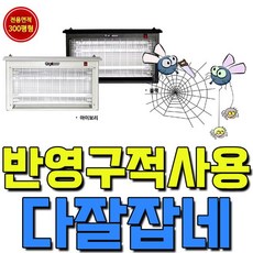 백분청 물동이 20kg 쌀독 쌀통 현관 소금 항아리 여주 쌀통 소금항아리 쌀보관통 현관소금 쌀항아리, HV20 hv-2063_아이보리
