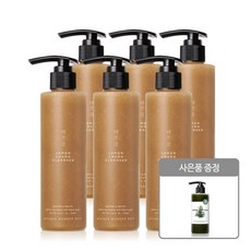 조성아 원더바스 레몬청 클렌저 200ml 6개 + 베지톡스 클렌저 그린 300ml