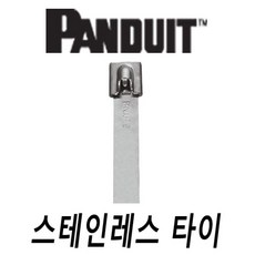 팬듀이트