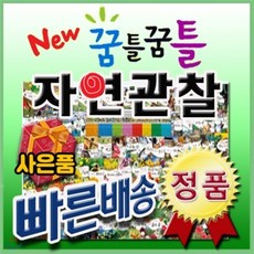 [전집] 선물증정/ 뉴꿈틀꿈틀자연관찰/전84권/어린이자연동화/유아첫자연동화 : 2015년 음원 필름 향기까지 입힌 놀라운 자연의 세계가 생생하게 담긴 전..., 톨스토이(전집)
