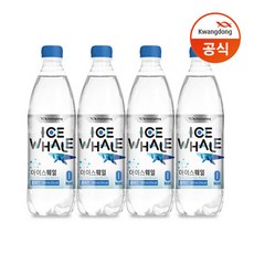 광동 아이스웨일 탄산수 플레인 500ml x 40펫, 500ml, 40펫