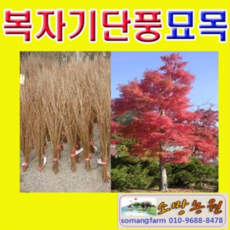 b32fe97e6112b9a16e2628ad3c4aef81931ec74fec45bd6499b6c9a18757.png