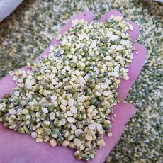 24년산국산녹두/국산녹두/국산깐녹두/녹두전녹두/녹두 /1kg/2kg, 1개