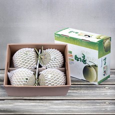 머스크메론8키로