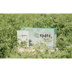 한재 미나리즙 70ml*30포, 70ml, 1개