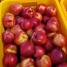 나조라 천도복숭아 3kg 특품, 상세페이지 참조