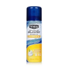 쉬크 쉐이브 가드 워시앤쉐이브 폼, 210g, 1개