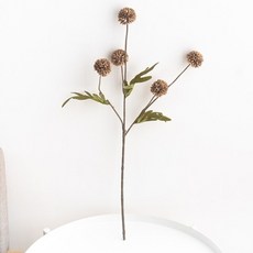 제주커피클래스