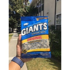자이언트 해바라기씨 오리지널 163g 봉지 12개 세트 류현진 해바라기씨/ Giants Salted Original Sunflower Seeds 5.75 oz 12 packs