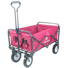 2022이지고웨건플러스