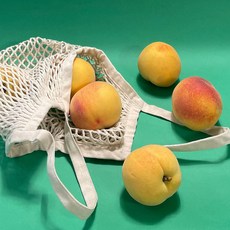 개복숭아절임-추천-상품