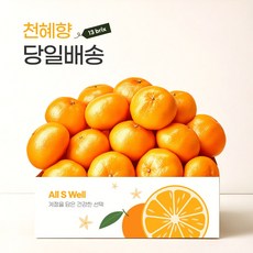 [프리미엄] 13birx 고당도 제주 천혜향 1kg/2kg/9kg 선물용, 1박스, 1kg (4-6과)