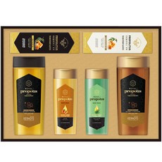 프로폴리스래디언스세트