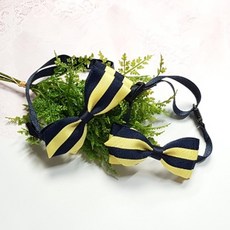 남아리본보타이