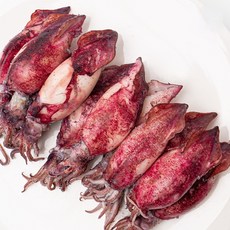 살아있는 한치를 배에서 급냉한 선동 한치 선도 우수, 1박스, 1.8kg(50미내외)