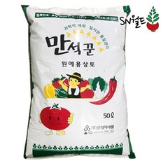 추천5다육이분갈이