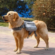 대형견셀프백팩 TOP01