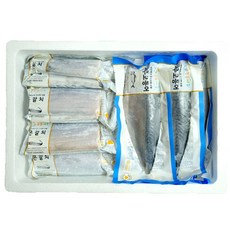 갈치 TOP01