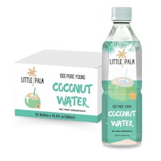 Little Palm - 순수 코코넛 워터 어린 코코넛으로 제작 무설탕 함유 GMO 프리 천연 수분 공급 전해질 499.8ml (16.6온스) (24팩 오리지널), 24개, 500ml