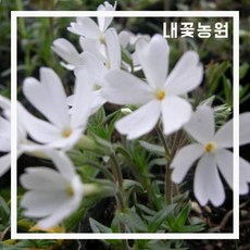 cd0b5ac0abb24cbdca127689f98b3c66e2ed591327de3e092cddbf989043.jpg