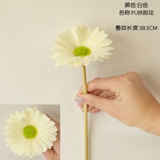 2a07693208f4df0ed01cb1c86ea2455c0ee1e1aa48835ea1605157da4e76.jpeg