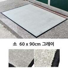 먼지털이발판