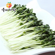[우리가락] 무순 (대)500g, 상세 설명 참조