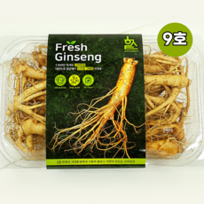 세척인삼 삼계탕인삼 금산 수삼 인삼 막삼 파삼 고려인삼 6년근 양삼 뿌리 9호