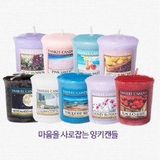 그린하우스양키