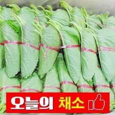바른채소 깻잎 1단(봉) 신선함을 그대로 가락시장 가락몰 직배송 시스템, 1봉, 1개