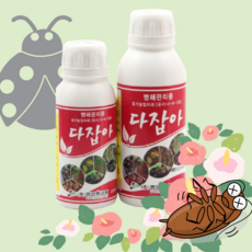 청도산딸기따기