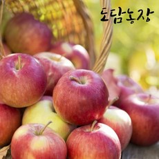 //상품명