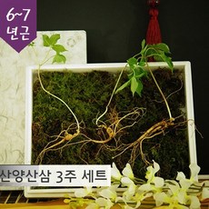 7c81cbd76591157a9e532c94dd62dcfabe49e9115d3a9f919af6f6f5ad4a.jpg