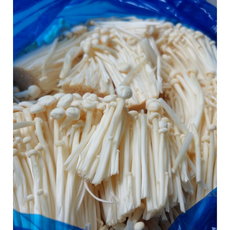 국내산 벌크 팽이버섯 가정용 가성비 식당용 업소용 못난이, 1개, 2kg