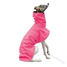 이탈리안그레이하운드우비