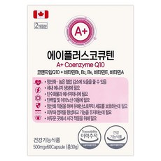 에이플러스코큐텐